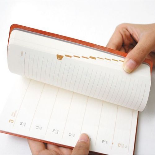 2016 Medium Record Planner