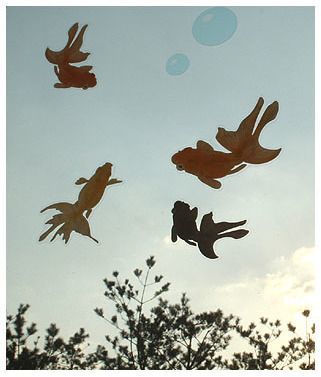 Goldfish Window Stickers