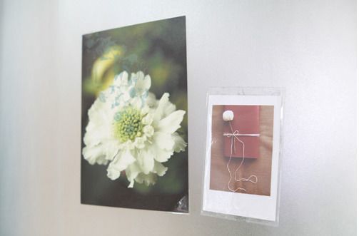 Instax Mini Pocket Sticker