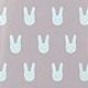 Rainbow Pattern 4/4S iPhone Case, Rabbit