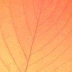 Leaf Sticky Note, Leaf D