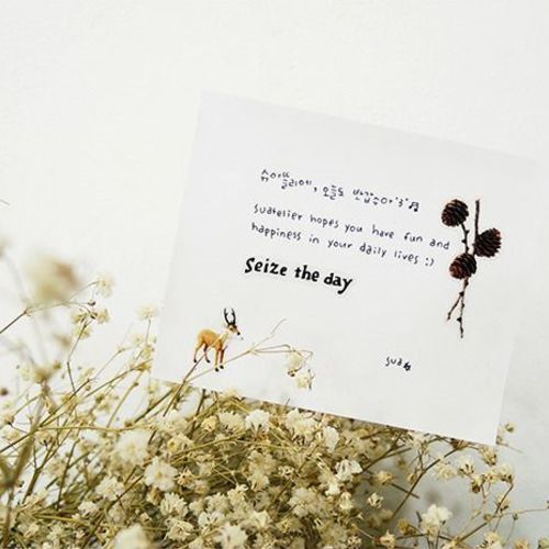 Seize the Day Deco Sticker - Image 13