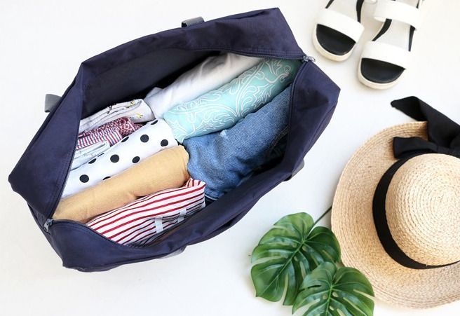 Wind Blows Foldable Luggage Bag