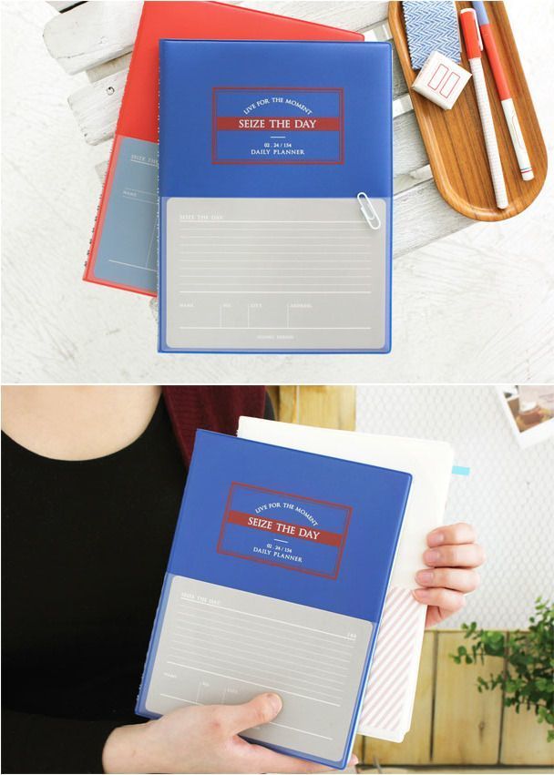 Blue Carpe Diem Planner