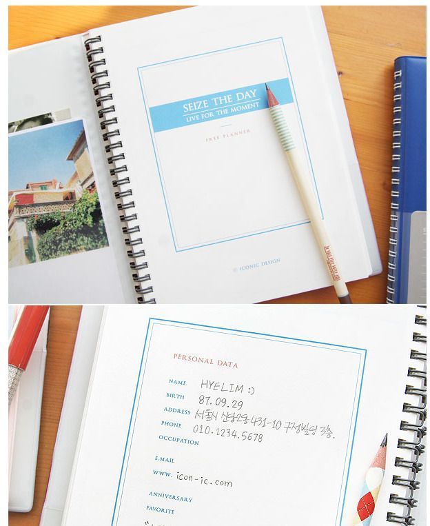 Blue Carpe Diem Planner
