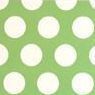 Maison De Paris Basic Planner, Lime Dot