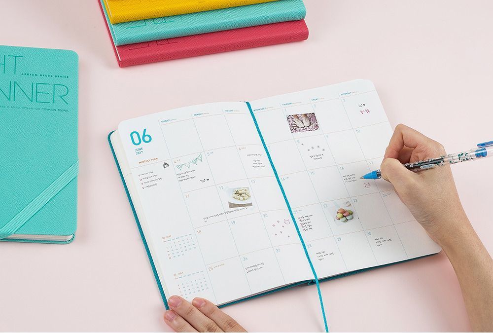 2017 Leather Ardium Light Planner