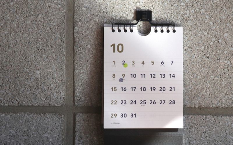 2017 Mini Basic Wall Calendar