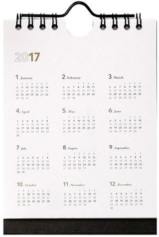 2017 Mini Basic Wall Calendar