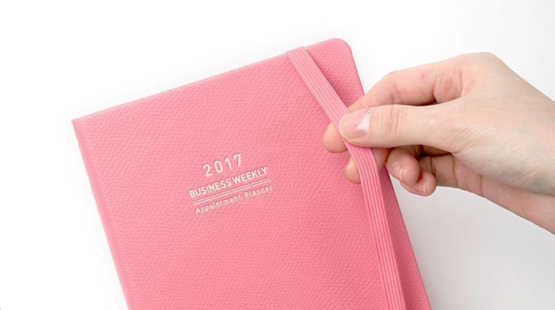 2017 Medium Weekly Appointment Planner