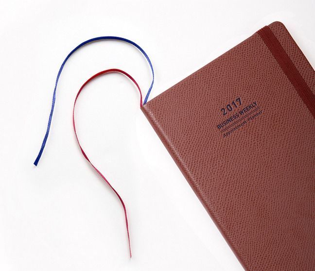 2017 Medium Weekly Appointment Planner