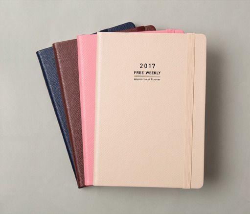 2017 Medium Weekly Appointment Planner