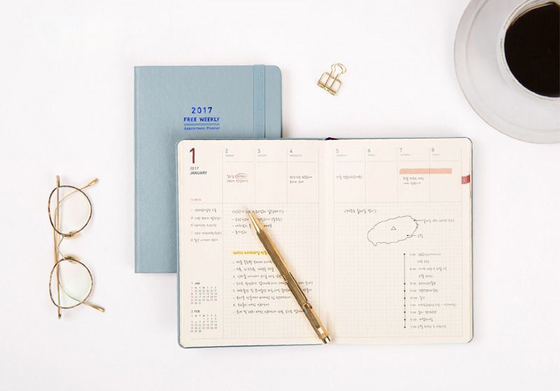 2017 Medium Weekly Appointment Planner