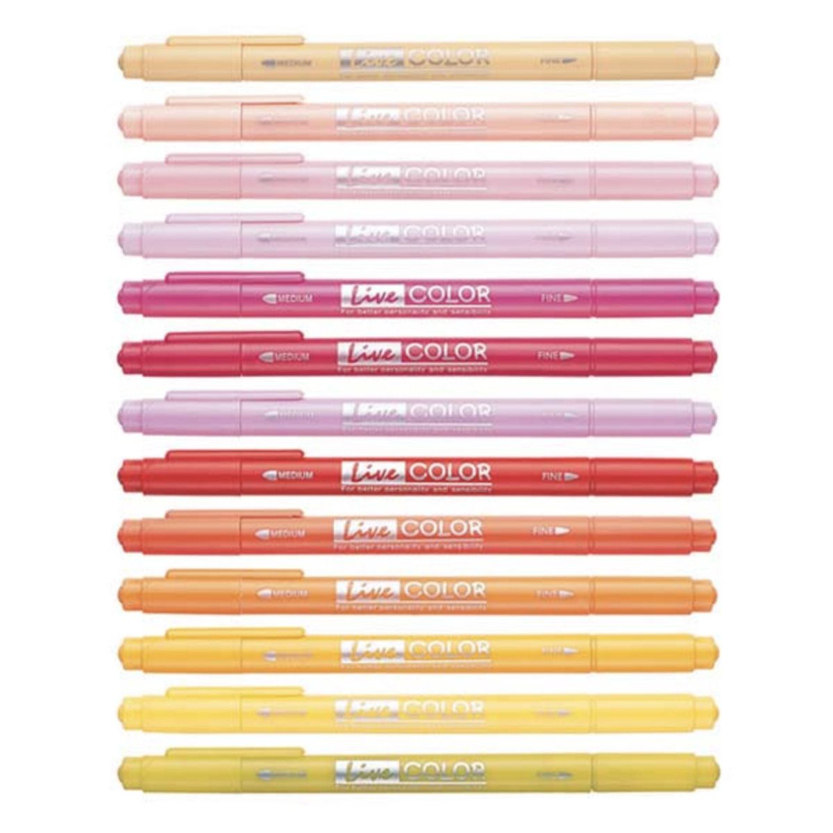 Dual Tip Deco Pen