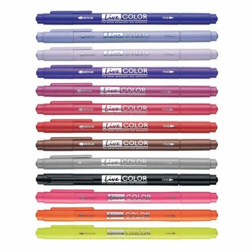 Dual Tip Deco Pen