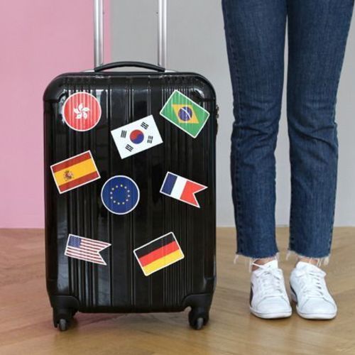 MochiThings Luggage Sticker