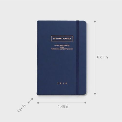 2018 Brilliant Daily Planner