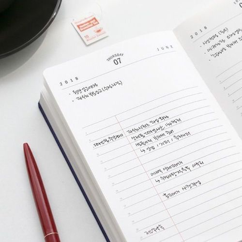 2018 Brilliant Daily Planner
