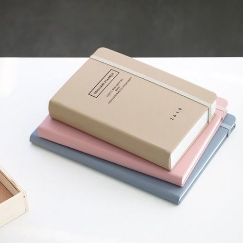 2018 Brilliant Daily Planner