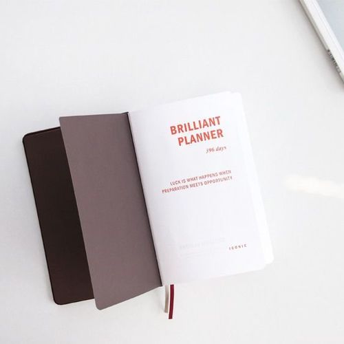 2018 Brilliant Daily Planner