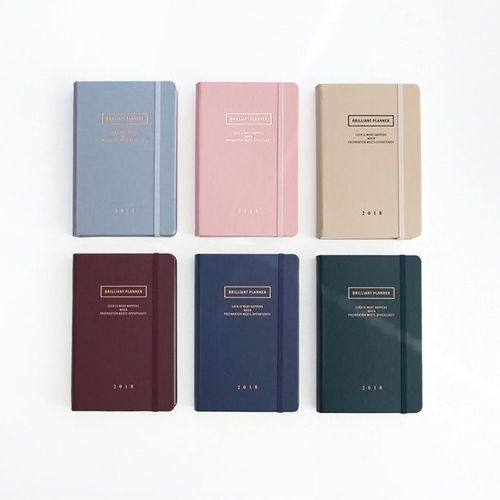 2018 Brilliant Daily Planner