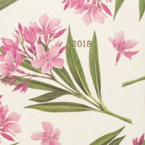 2018 Florence Daily Planner, Oleander