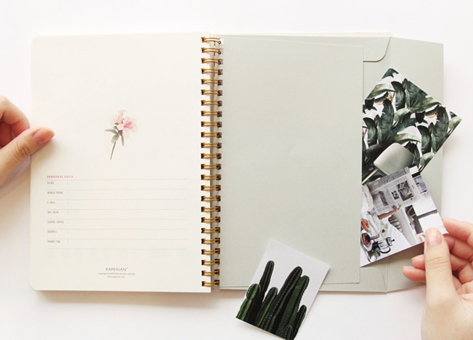 Pastel Brilliant Weekly Planner