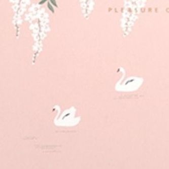 2018 Dual Desk Planner v1, Swan Lake