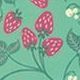 100 Style Diary Planner, 003. Mint Strawberry