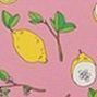 100 Style Diary Planner, 072. Quince