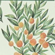 Proust Diary Scheduler, Mandarine