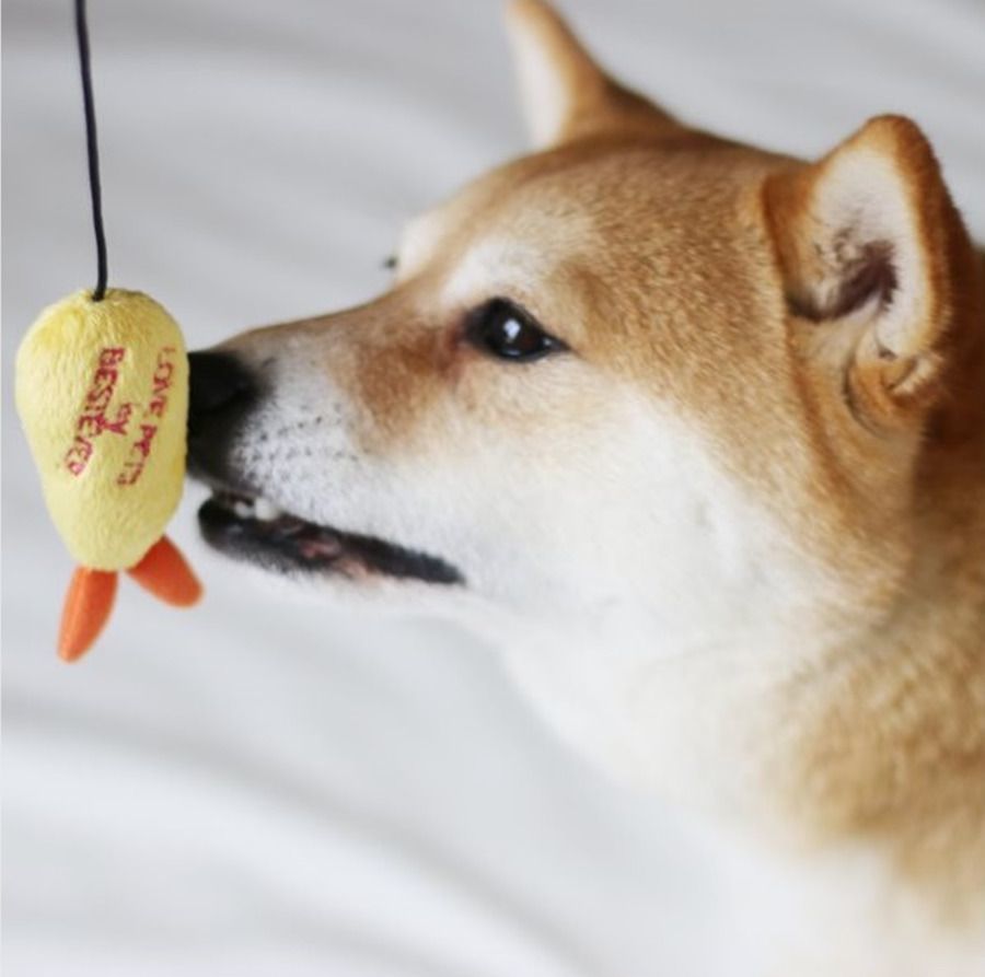 MochiThings Tempura Shrimp Cat Teaser Toy