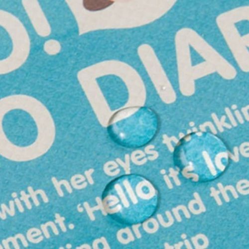 2019 Hello Coco Diary Planner