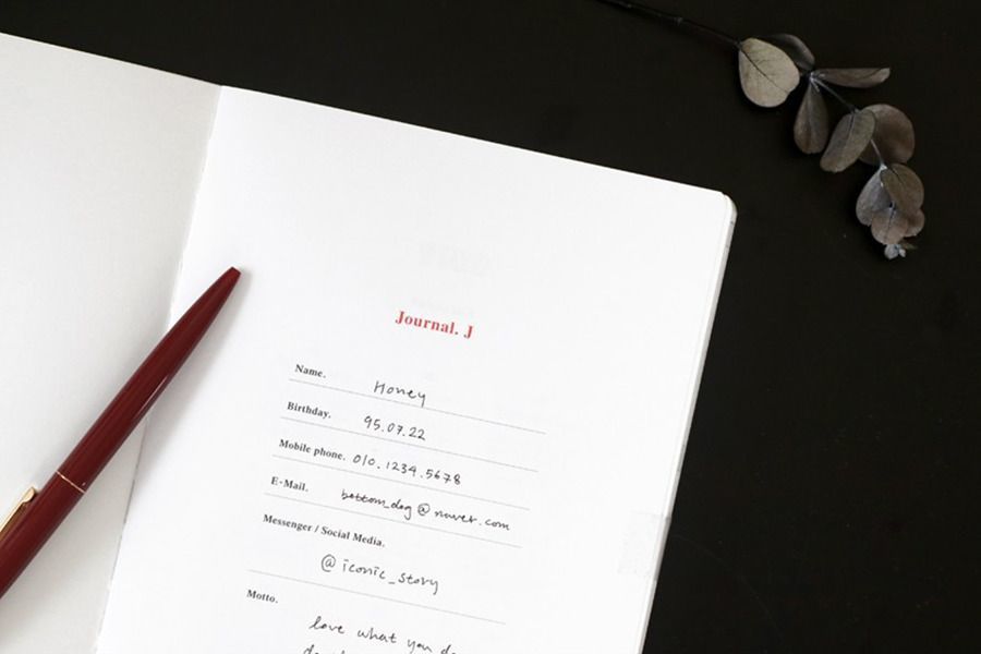2019 Journal J Planner