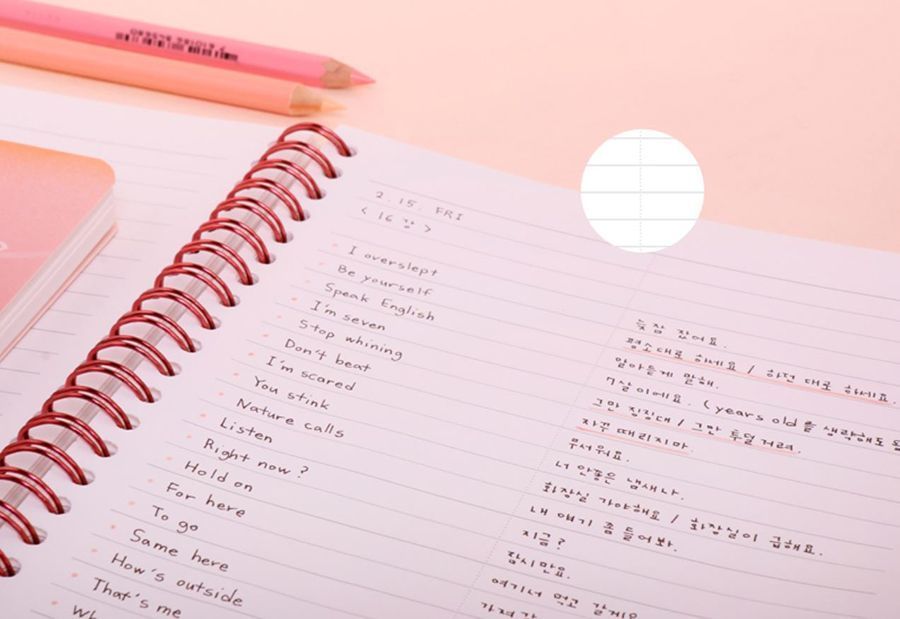 MochiThings Vintage Spiral Lined Notebook