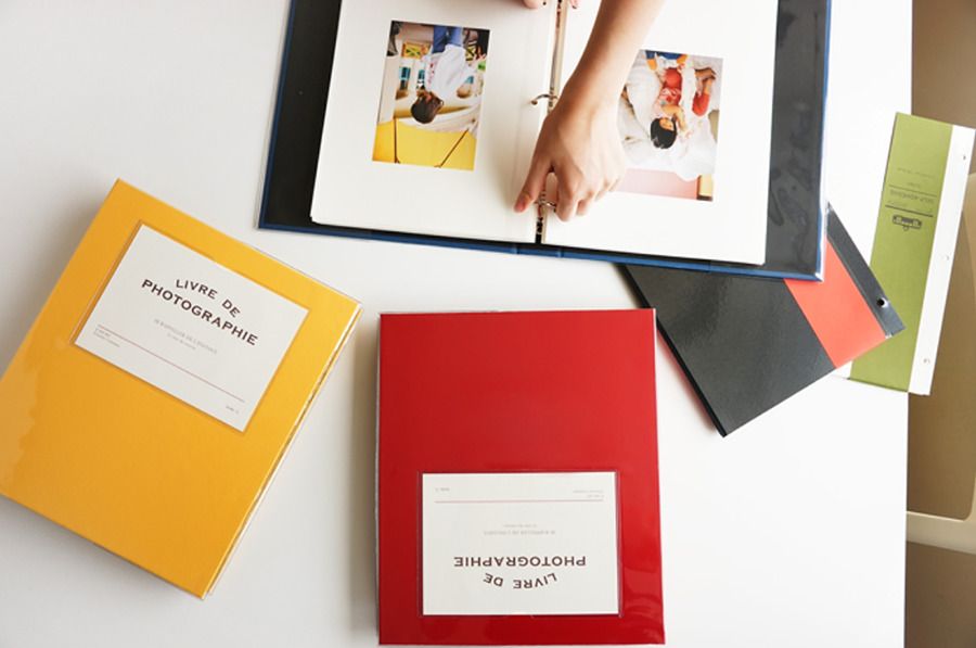 Colorful 3 Ring Binder