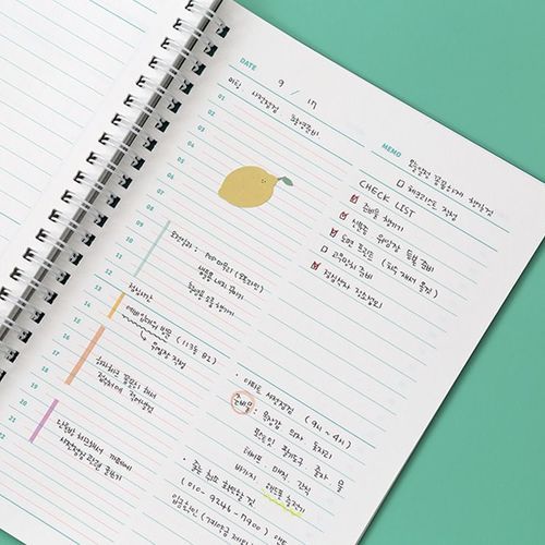 Color Pop Spiral Planner