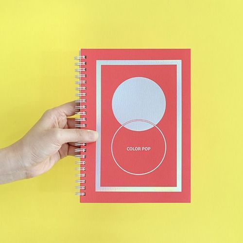 Color Pop Spiral Planner