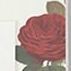 Florence Weekly Planner, 02 Red Rose