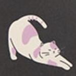 2020 Make it Count Today Planner, 01 Cat
